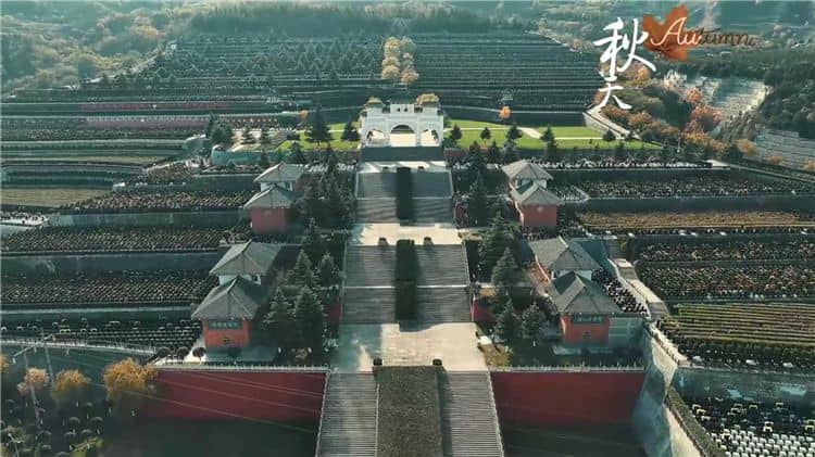 霸陵墓園都提供哪些生態(tài)葬方式？