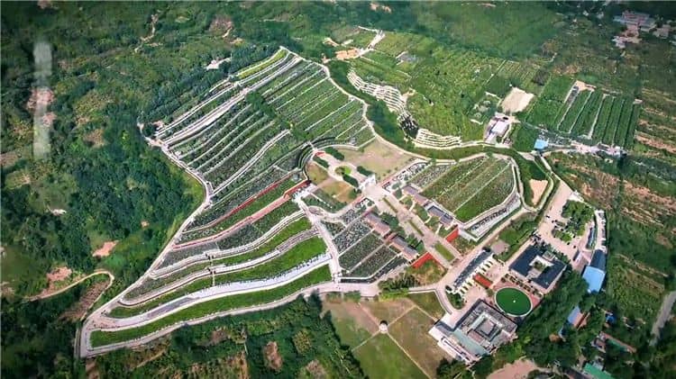 西安霸陵墓園如何滿足不同客戶的個(gè)性化需求?