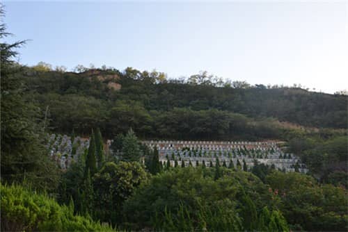 西安高橋墓園便民服務與惠民措施,西安灞橋區墓園貼心服務指南