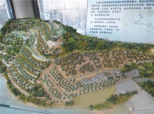 西安高橋墓園為不能前來現場祭掃的客戶提供了哪些服務？