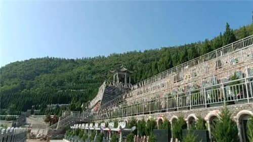 西安高橋墓園樹葬服務(wù)詳解及選擇指南