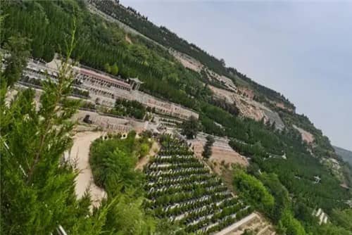 西安高橋墓園的聯系方式是什么？其工作時間和園區地址分別是什么？