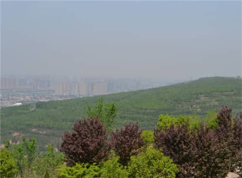 西安市高橋墓園怎么樣收費,公墓選購