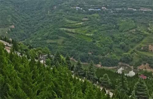 西安周邊墓園有哪些?西安市高橋骨灰墓園介紹