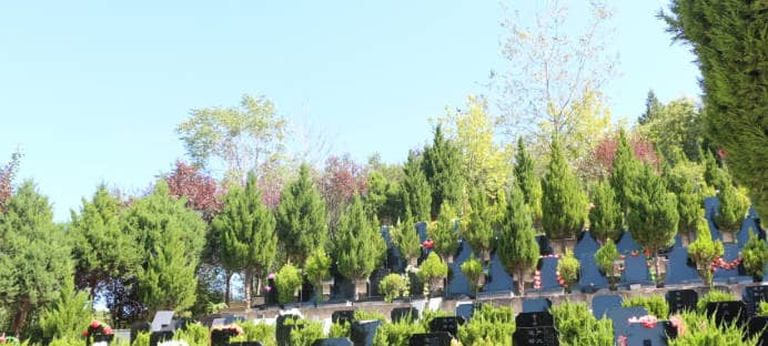 西安白鹿原公墓提供了哪些類型的墓地,家屬在選擇時應(yīng)考慮哪些因素?