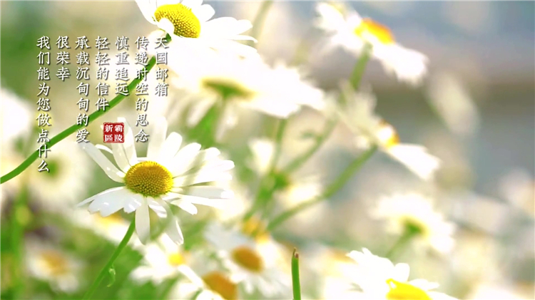 父母墓碑樣式推薦:如何設計符合心意的理想墓碑?