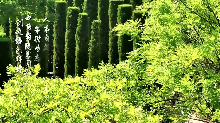 西安臨潼區墓園推薦_驪山墓園簡介與價格解析