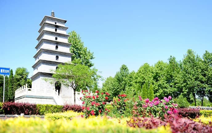 三周年祭奠全程解析:流程與注意事項(xiàng)