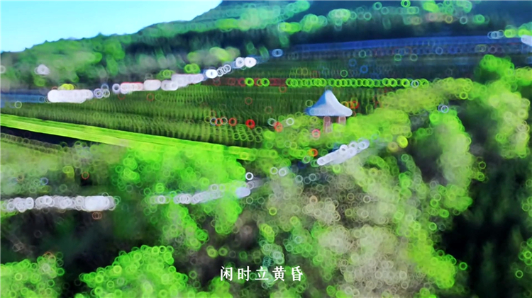 骨灰盒放入墓地是否稱為“下葬”？傳統與現代的定義解析
