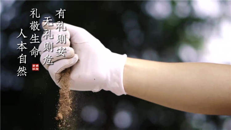 西安鄠邑區生態葬墓地推薦_灃都苑生命紀念園價格與葬式解析