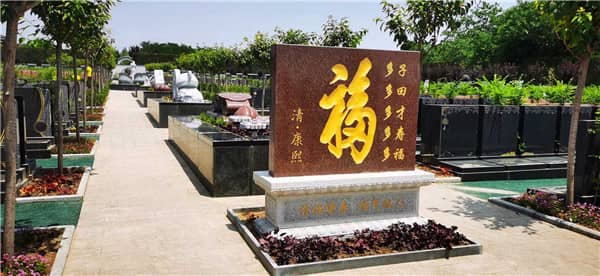 西安生態(tài)葬之什么是樹葬?樹葬的來源
