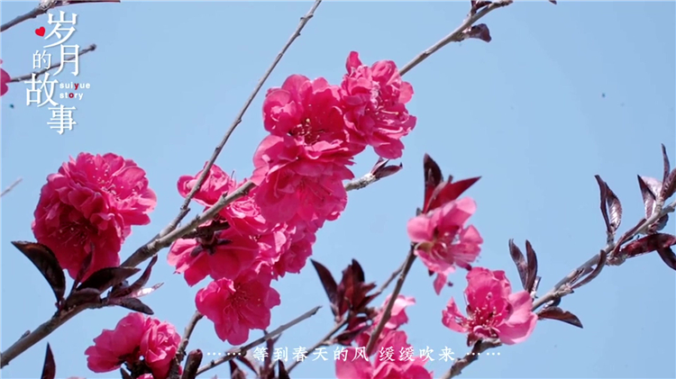 公墓環(huán)境對(duì)逝者與家屬的影響分析:如何選擇理想安息之地?