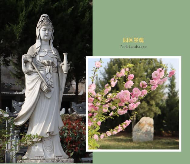 骨灰盒放到墓地還需要打傘嗎?骨灰盒安放禮儀解析