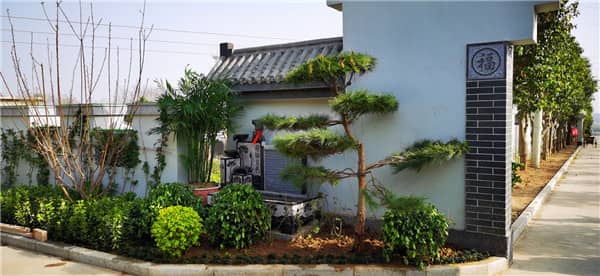 海葬預約辦理指南:材料準備、流程說明與服務選擇全解析