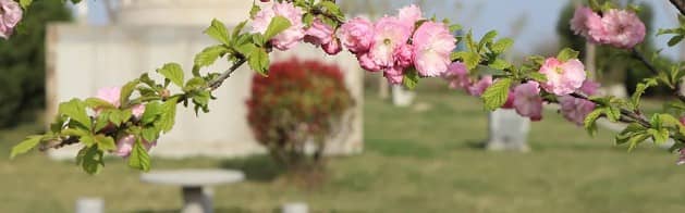 西安市公墓有哪幾處,限時搶購公墓墓地