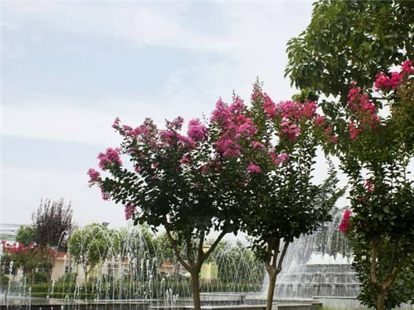 西安有便宜的墓地嗎?在哪?