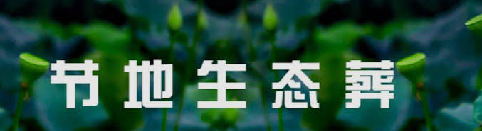 西安墓地陪同禁忌人群:哪些人不宜前往墓地掃墓
